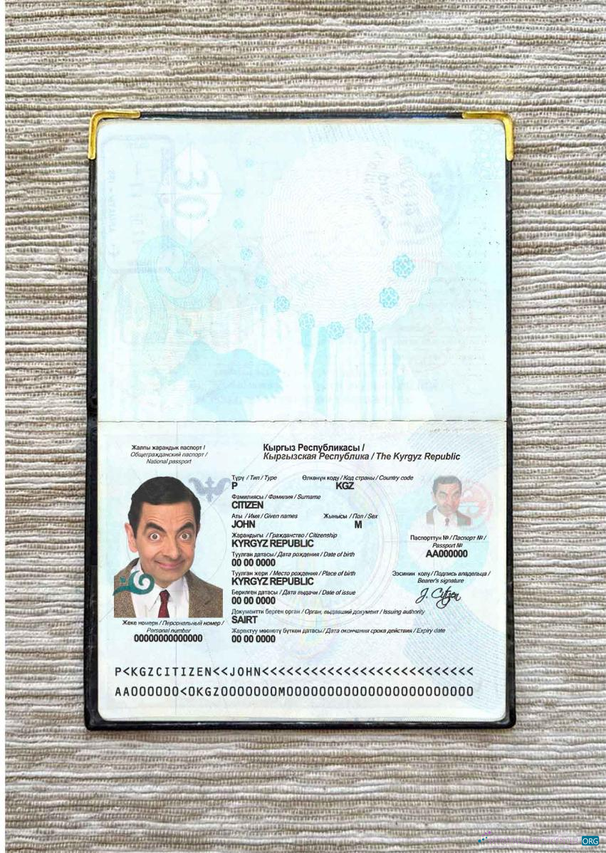Download Kyrgyzstan passport photo look Photoshop template
